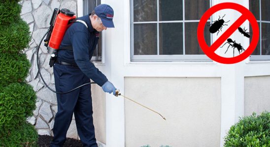 Akyaka Dezenfeksiyon böcek ilaçlama ve haşere kontrolü — ilaclama-tr.com